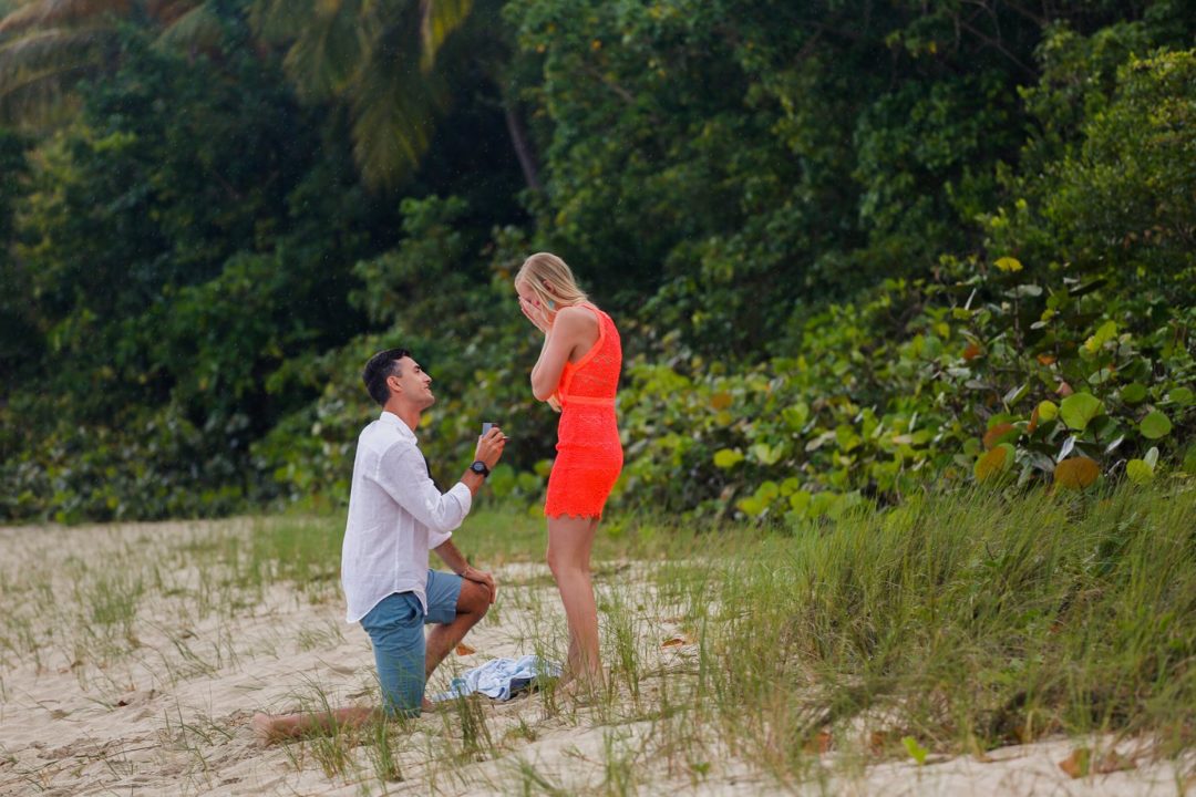 Brittany & Alex: The Proposal