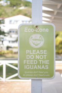 Please Do Not Feed the Iguanas sign at Limetree Beach, St. Thomas